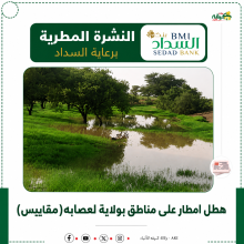 تهاطلات مطرية علي ولاية لعصابة